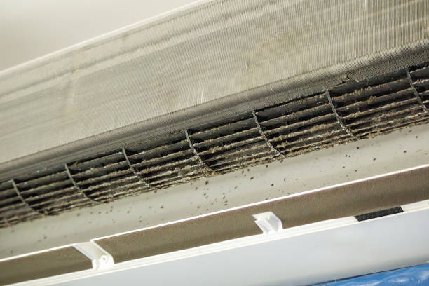Best Affordable Air Duct Cleaning  in Forest Park, OH